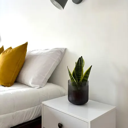 San Peter Dome Vista San Pietro *