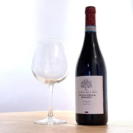 San Peter Dome Vista San Pietro روما