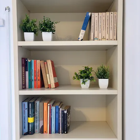 San Peter Dome Vista San Pietro * روما