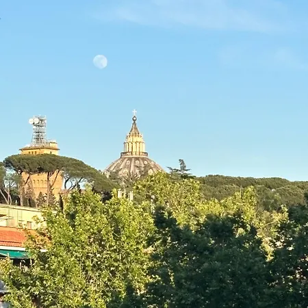 San Peter Dome Vista San Pietro روما
